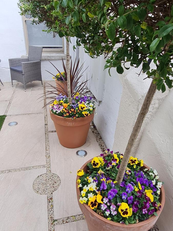 Pembroke Guest Suite Dublin Luaran gambar
